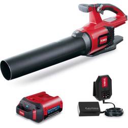 Toro 51821 110 mph 565 CFM 60 V Battery Handheld Leaf Blower Kit (Battery & Charger)