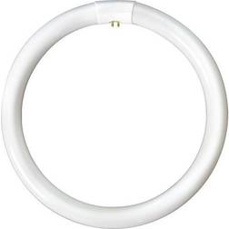 Bell Lighting 22 W T9 Triphosphor cirkulär tub 4-stift, 4100K