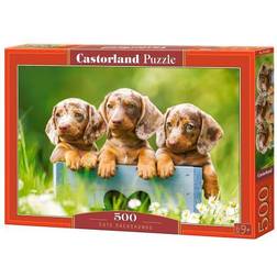 Castorland Cute Dachshunds 500 Pieces