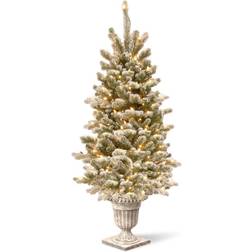 National Tree Company 4' Pre-Lit Sheffield Entrance Christmas Tree