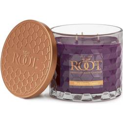 Honeycomb Blackberry Honey Scented Candle 12oz