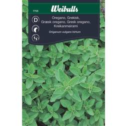 Weibulls Oregano