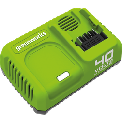 Greenworks Caricabatterie G40UC5 (Li-Ion 40 v, 5A, 30 minuti di tempo di ricarica con 2Ah (50 minuti con 4Ah) adatto a tutte le batterie della