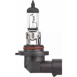 Hella 8GH 009 063-121 Glühlampe, Nebelscheinwerfer