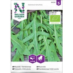 Nelson Garden Rucola