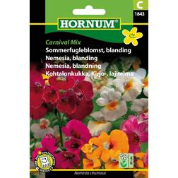 Hornum Sommerfugleblomst, bla, Carnival Mix C 1843