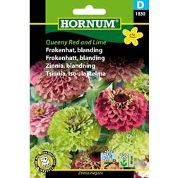 Hornum Frøkenhat frø, Queeny Lime blanding Blomsterfrø