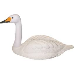Ryom Skræmmer Svane