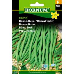 Hornum Bønne, Busk- "Haricot Verts" Grøntsagsfrø
