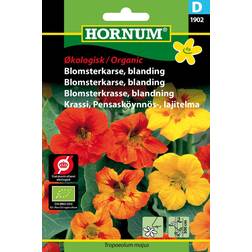 Hornum ØKO, Blomsterkarse, blan, D/DK-ØKO-050