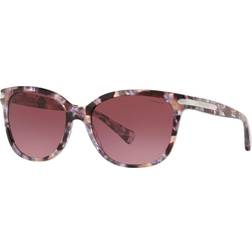 Coach HC8132 55488H