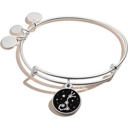 Alex And Ani Sagittarius Zodiac Charm Bangle Bracelet - Silver/Black