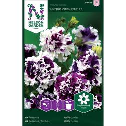 Nelson Garden Petunia 'Purple Pirouette' F1