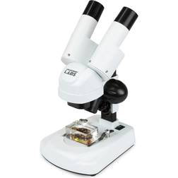 Celestron Labs S20 Angled Stereo Microscope