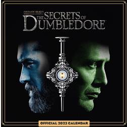 Danilo Fantastic Beasts Phantastische Tierwesen 3 2023