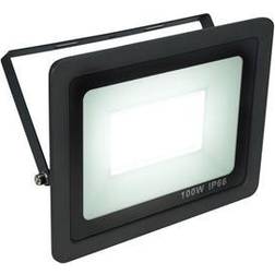Eurolite LED IP FL-100 SMD projecteur flood light CW