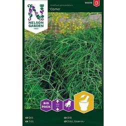 Nelson Garden Dill 'Como' Big Pack frö