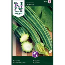Nelson Garden Fröer Squash Latino Grøntsagsfrø