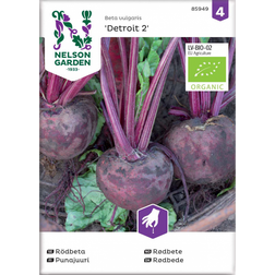 Nelson Garden Økologisk Rødbede frø, Detroit 2 Grøntsagsfrø