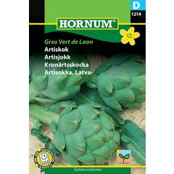 Hornum Artiskok frø, Gros vert Laon