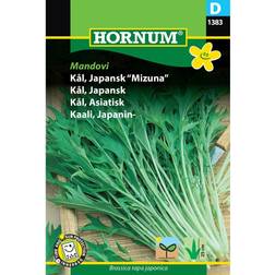 Hornum Japansk kål frø, Mizuna Grøntsagsfrø