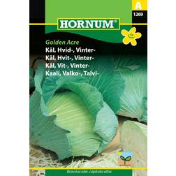 Hornum Kål, Hvid-, Vinter-, Golden Acre Grøntsagsfrø