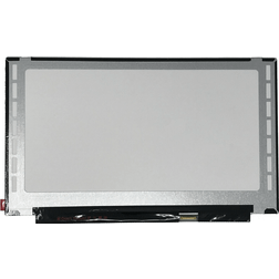 HP LCD RAW PANEL