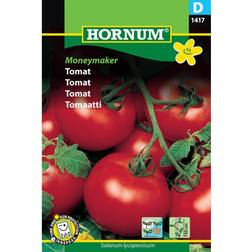 Hornum Tomat, Moneymaker D 1417 Grøntsagsfrø