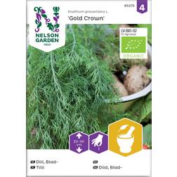 Nelson Garden Dill, Blad-, Gold Græsfrø