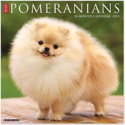 Willow Creek Press Just Pomeranians 2023 Calendar