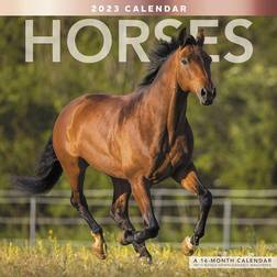 Mead 2023 Mead Horses Monthly Wall Calendar