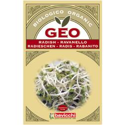 Geo Bavicchi Rädisfrö Groddning eko