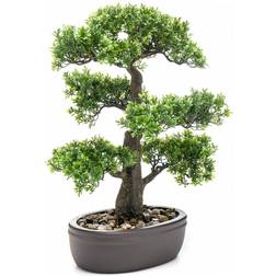 Emerald Mini Bonsai Ficus in Brown Pot Kunstig plante