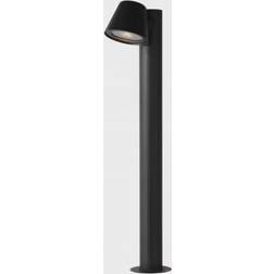 Lucid Dingo Pollare 70cm
