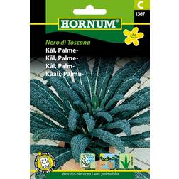 Hornum Kål, Palme, Nero di Toscana C 1367 Grøntsagsfrø