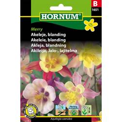 Hornum Akeleje frø, Merry blanding Blomsterfrø