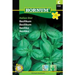 Hornum Basilika 'Italian Star' frö