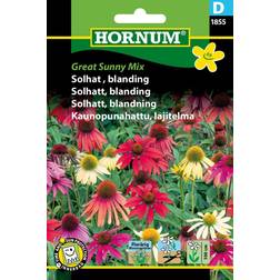 Hornum Solhat, blanding, Great Sunny Mix D Blomsterfrø