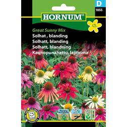 Hornum Solhat, blanding, Great Sunny Mix D