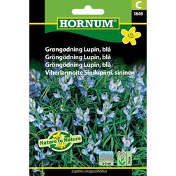 Hornum Grøngødning Lupin, C 1849 Gødning