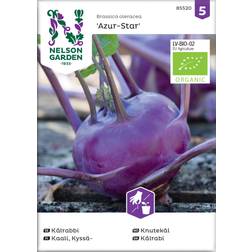 Nelson Garden Kålrabbi, Azur-Star, Organic Grøntsagsfrø