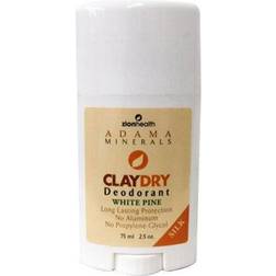 Zion Health Clay Dry Silk Pine Vegan Deodorant