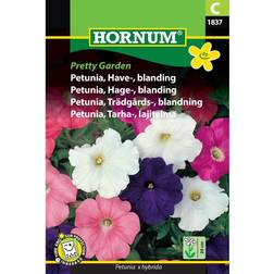 Hornum Petunia frø, Pretty Garden blanding Blomsterfrø