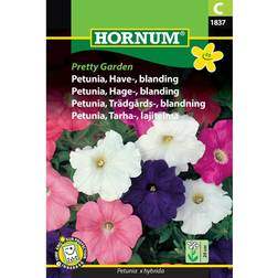 Hornum Petunia frø, Pretty Garden blanding