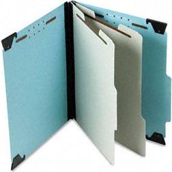 Hanging Classification Folders, 2 Dividers, 6 Letter