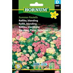Hornum Røllike Blomsterfrø