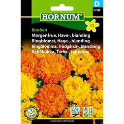 Hornum Morgenfrue, Have-, blanding, Bonbon D