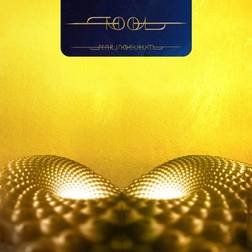 Tool Fear Inoculum 3 Vinyl