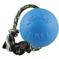 Jolly Pets Romp-N-Roll Dog Blueberry Blueberry