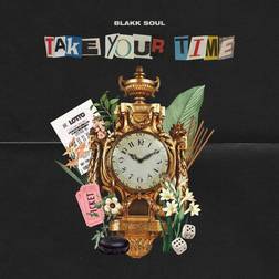 Take Your Time (Vinyl)